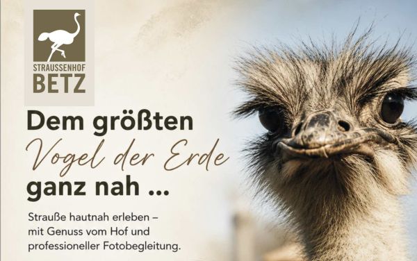 Ein einzigartiges Erlebnis im Bayerischen Wald